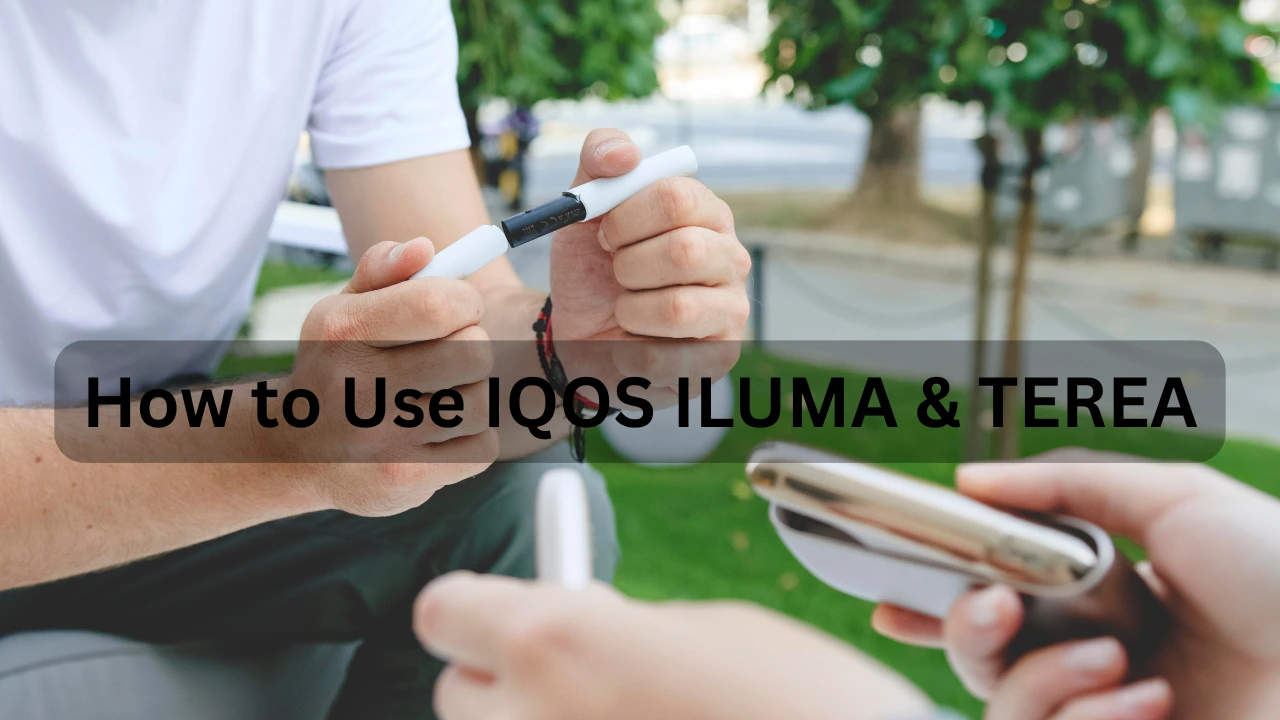 How to Use IQOS ILUMA & TEREA
