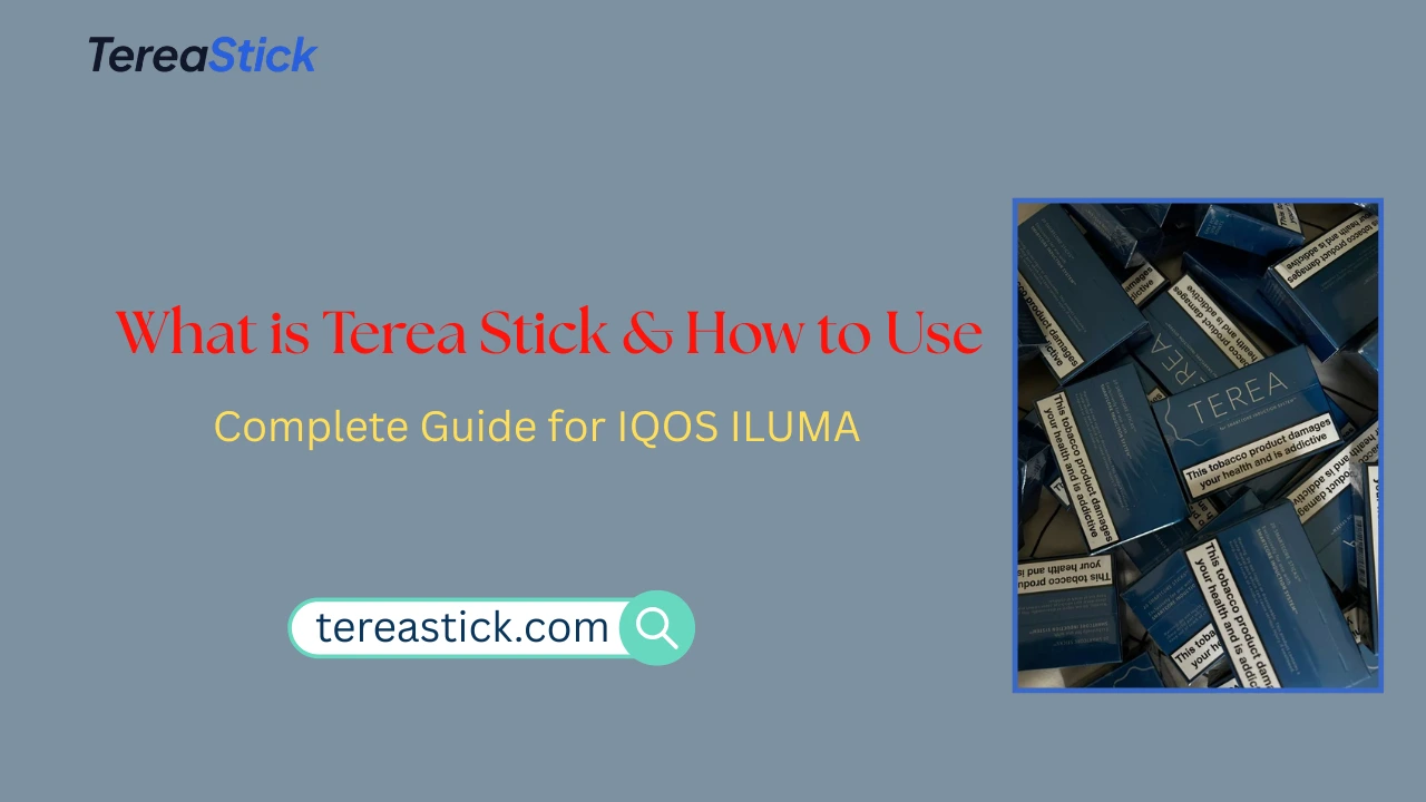 What is a TEREA Stick and How to Use It: A Complete Guide